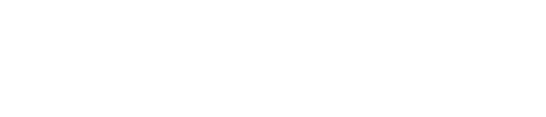 Prodata Mobility